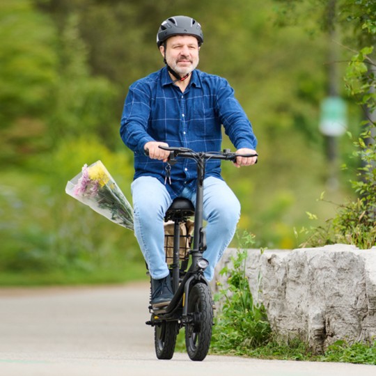Hoverfly Z5 14 Inch Fat Tire Electric Scooter with Seat