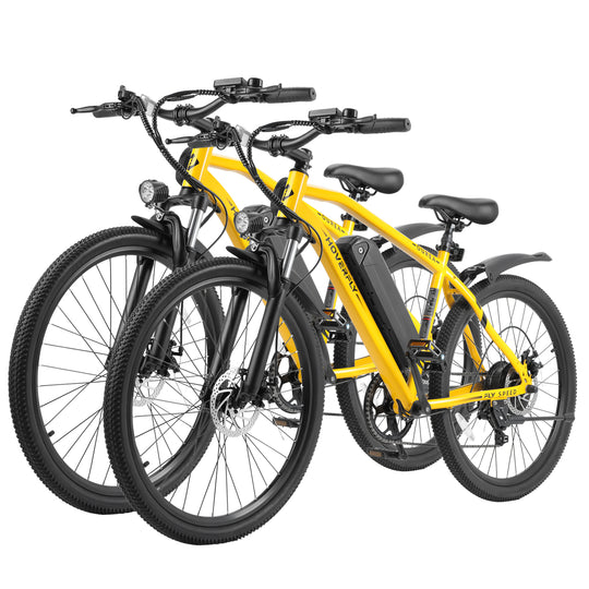 Hoverfly Electric Bike Combo Sale Ourea*2
