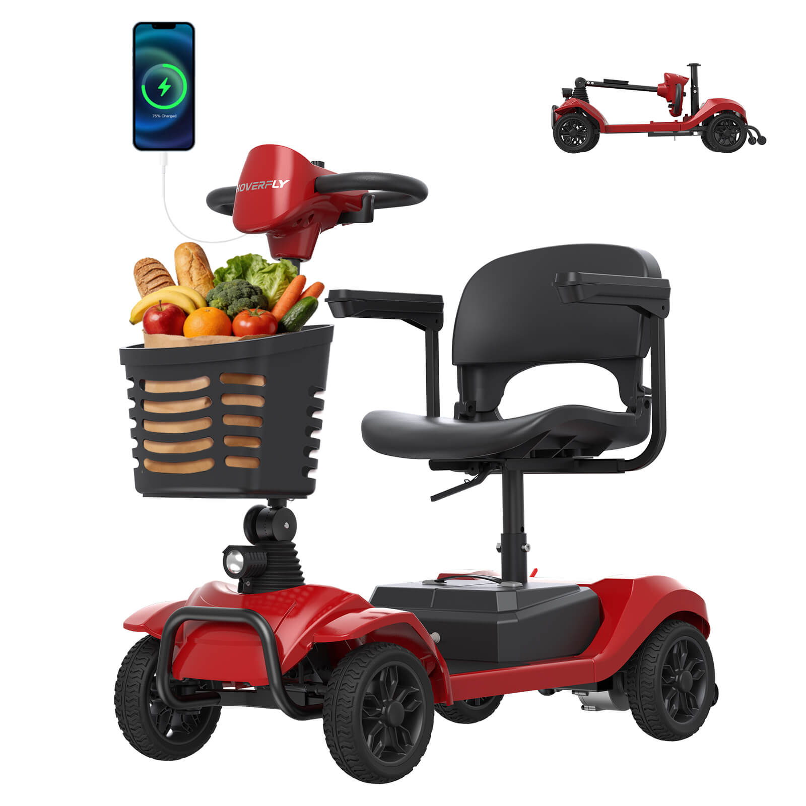 Hoverfly T4 Outdoor Mobility Scooter with Detachable Battery (🔥New Year Sale)