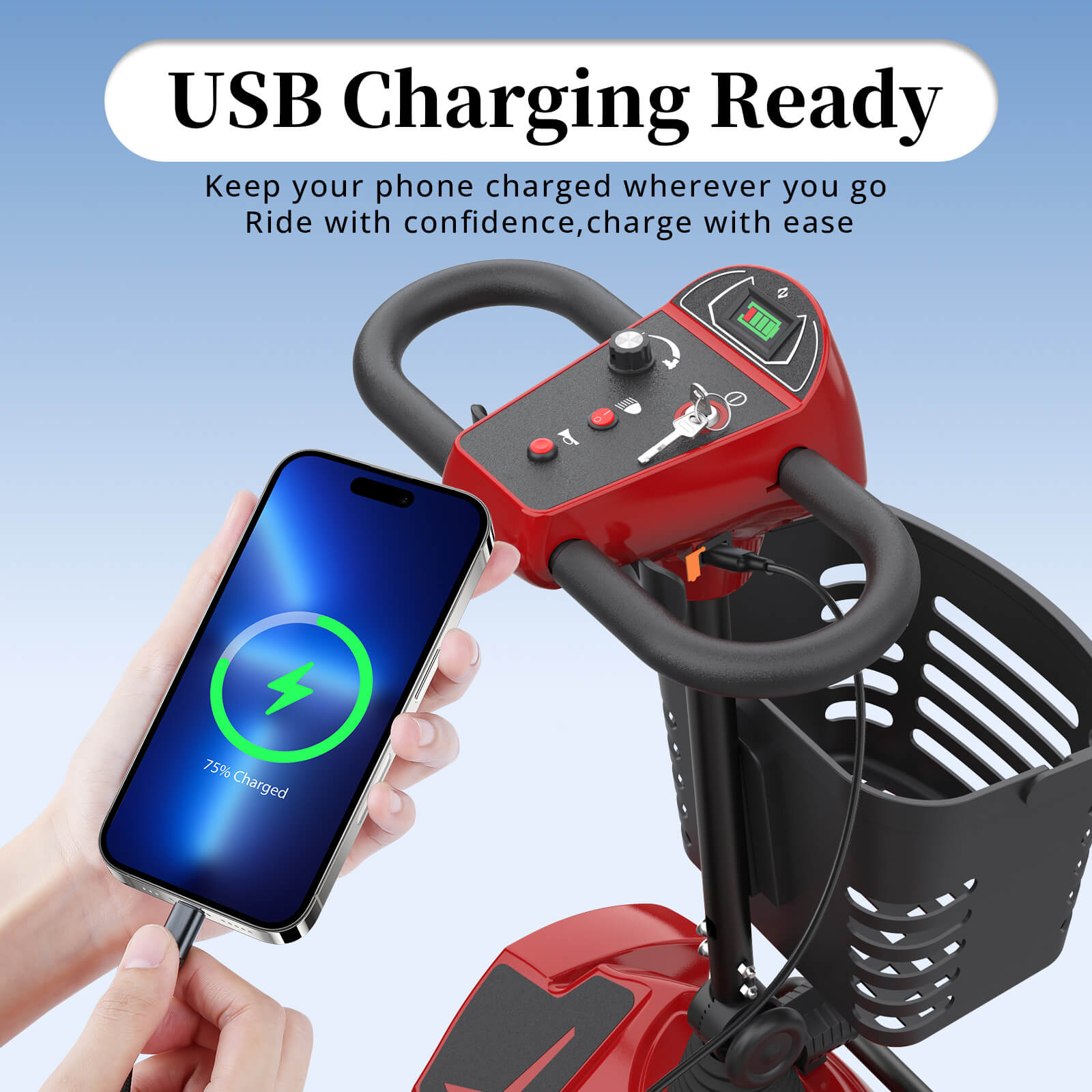 Hoverfly T4 Outdoor Mobility Scooter with Detachable Battery (🔥New Year Sale)