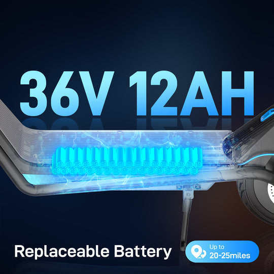 Hoverfly X5 Electric Scooter
